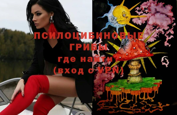 спиды Магас