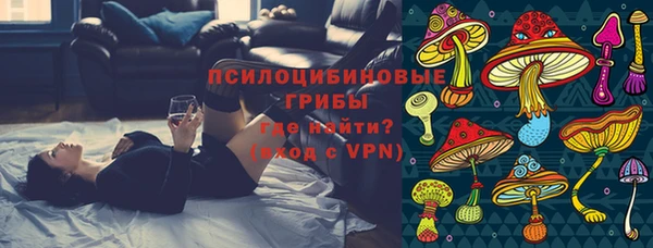 спиды Магас