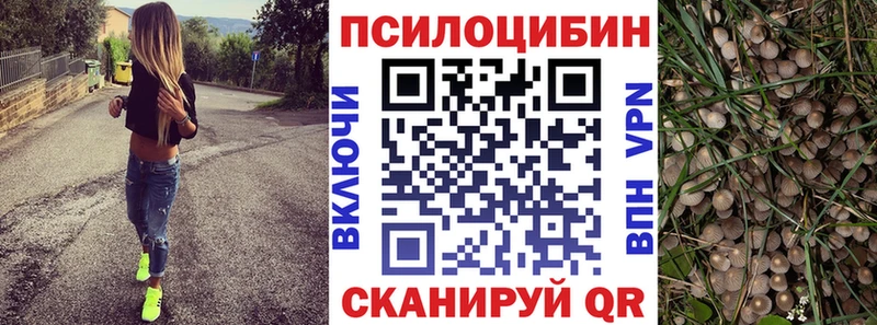 KRAKEN рабочий сайт  Ачхой-Мартан  Псилоцибиновые грибы Cubensis 
