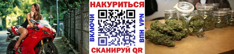Каннабис тримм  Ачхой-Мартан 